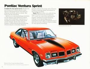 1975 Pontiac Ventura (Cdn)-06.jpg